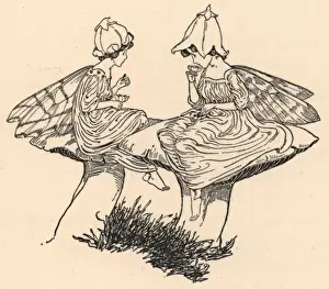 Historical Fairy Illustrations Prints: Two fairies sitting on toadstools