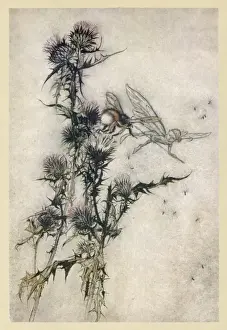 Fairy Folklore Prints: Fairy and Bee