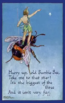 Early 20th Century Illustration Prints: Fairy on a bumblebee