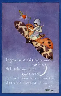 Postcard Collection For Kids Prints: Fairy on a moth