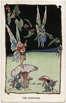 A Fairy Serenade - Fairy Troubadour atop a mushroom A Fairy Serenade - Fairy Troubadour atop a mushroom