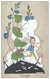 Fairyland Print - A Fairy in a Spider's Web, 1927