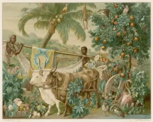 Fantasy Artwork Online Prints: Fantasy - the Indies