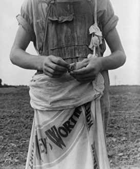 Farm boy with sack full of boll weevils which he has picked Farm boy with sack full of boll weevils which he has picked
