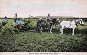 Farm scene near Mineral Wells, Texas, USA Farm scene near Mineral Wells, Texas, USA