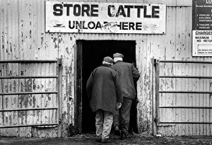 Two farmers enter store cattle shed - Bakewell Cattle Market Two farmers enter store cattle shed - Bakewell Cattle Market