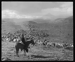Argentina Cowboy Farmer Print