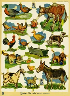 Old Fashioned Farming Methods Prints: Farming scraps
