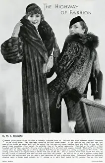 Fashionable Women's Coats Prints: Fashionable furs 1933