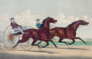 Fast trotting in the west: Lucy and Goldsmith Maid Fast trotting in the west: Lucy and Goldsmith Maid