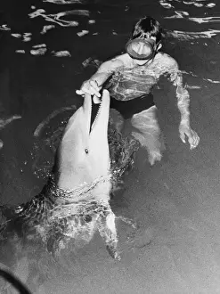 Historical Marine Life Prints: Feeding a Dolphin