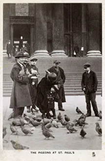 Feeding the Pigeons on steps of St. Pauls Cathedral, London Feeding the Pigeons on steps of St. Pauls Cathedral, London