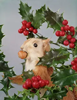 Holly And Mistletoe Prints: Festive Red Squirrel Print