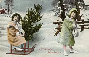 Winter Scene Prints: Fetching Tree on Sledge