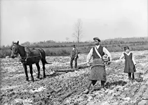 Early 20th Century Agriculture Prints: Fiddle Sowing and Harrowing