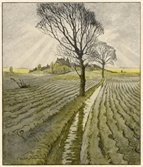 Autumn Fields Prints: Fields in Autumn