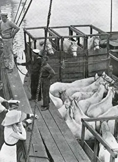 Captain Scott Expedition Prints: Final preparations for the Scott expedition