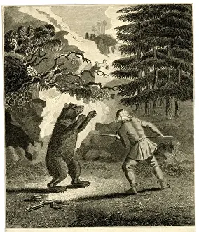 Finlander and bear