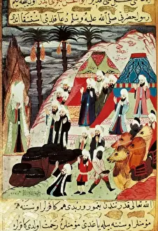 First Crusade Images Prints: First Crusade. Council Of