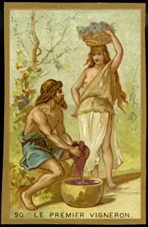 Vintage Agriculture Images Prints: First Vineyard