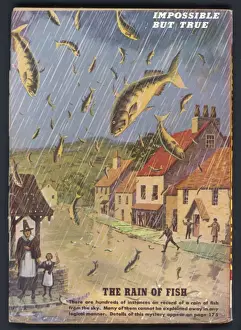 Welsh Village Scene Prints: Fish Fall from Sky