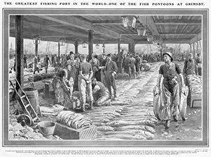 A Fish Pontoon at Grimsby by Fortunio Matania A Fish Pontoon at Grimsby by Fortunio Matania