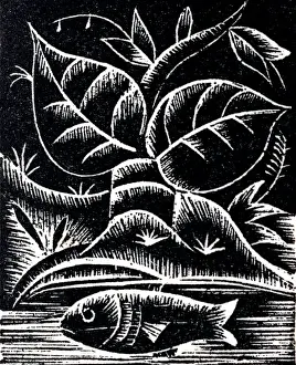 River Scenery Photography Prints: A fish swimming in a river