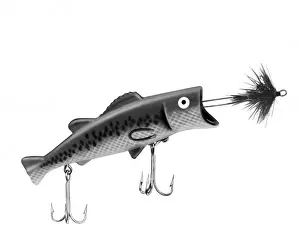 Fishing Plug Print, 1960s