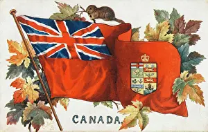 Prints of The flag of Canada, complete with autumnal maple leaves and a beaver! Showing the insignia if the various Canadian provinces on the flag, with the British crown on top Beaver Prints: Canadian Flag Print Featuring Maple Leaves and Provincial Insignia