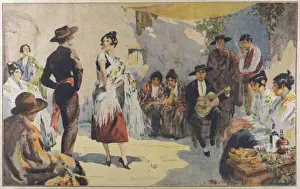 Flamenco Print - Outdoor Performance