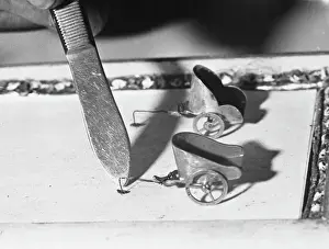 Prints of Professor Tomlins flea circus: a flea is pushed into position at the start of the chariot race; fine harnessing wires attach the fleas to the chariots Date: 1960s Related Image Prints: Flea Circus Chariots Print, 1960s