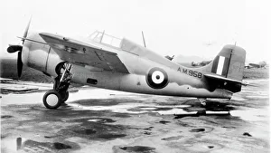 Fleet Air Arm - Grumman Martlet II - AM958 Fleet Air Arm - Grumman Martlet II - AM958