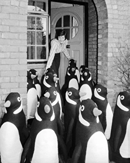 Flock of model penguins outside a suburban house Flock of model penguins outside a suburban house