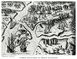 Florida Discovered by French Huguenots Florida Discovered by French Huguenots