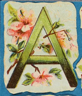 Original 19th-Century Flower Print