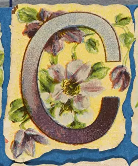 Antique Flower Art Prints: FLOWER C
