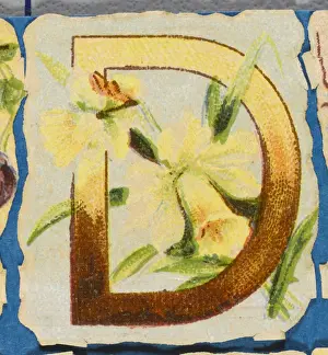 Flower Still Life Paintings Prints: FLOWER D