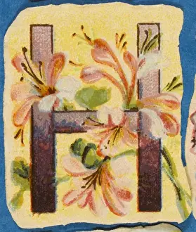 Vintage Floral Art Prints: FLOWER H