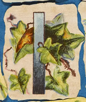19th Century Floral Art Prints: FLOWER I