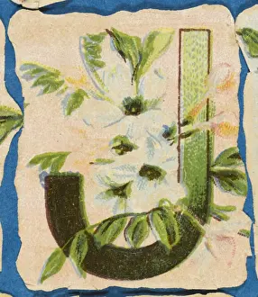 Flower J Print