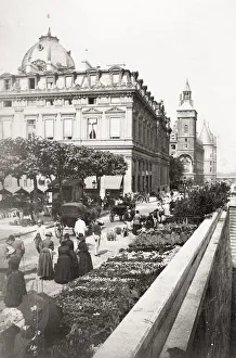 Flower market, bank of the River Seine, Paris, France Flower market, bank of the River Seine, Paris, France