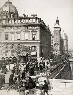 Flower market in Paris along bank of the River Seine Flower market in Paris along bank of the River Seine