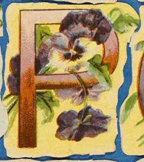 Botanical Garden Art Prints: FLOWER P