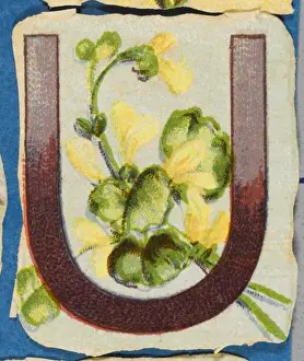 Vintage Floral Art Prints: FLOWER U