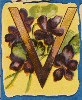 Flower Still Life Paintings Prints: FLOWER V