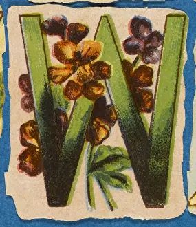 Vintage Floral Art Prints: FLOWER W