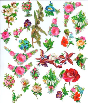 Flowers and foliage on an assortment of Victorian scraps Flowers and foliage on an assortment of Victorian scraps
