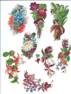 Flowers and foliage on eight Victorian scraps Flowers and foliage on eight Victorian scraps