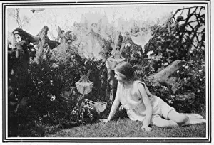 Fairy Folklore Images Prints: Folklore / Fairies