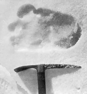 Himalayan Yeti Footprint Print